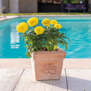 Carré Sicilia 17 cm - Pot de fleur en terre cuite pour jardin