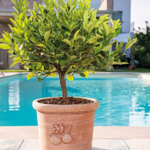 Pot Cylindrique Sicilia 23 cm