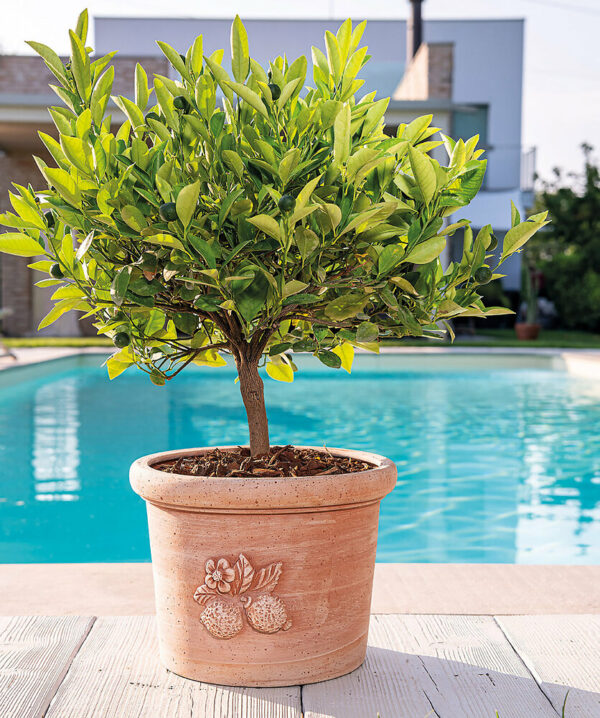 Pot Cylindrique Sicilia 23 cm