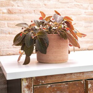 Pot Cylindrique Luna 26 cm pour Décoration de Jardin