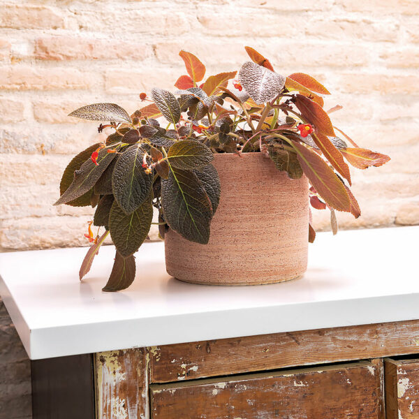 Pot Cylindrique Luna 26 cm