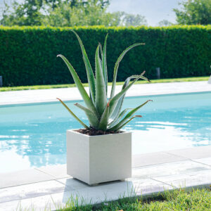 Cubo Gravity Mastic à réserve d'eau 25 cm