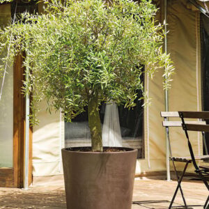 Vaso Millennium Brownstone à réserve d'eau et roulettes 59 cm