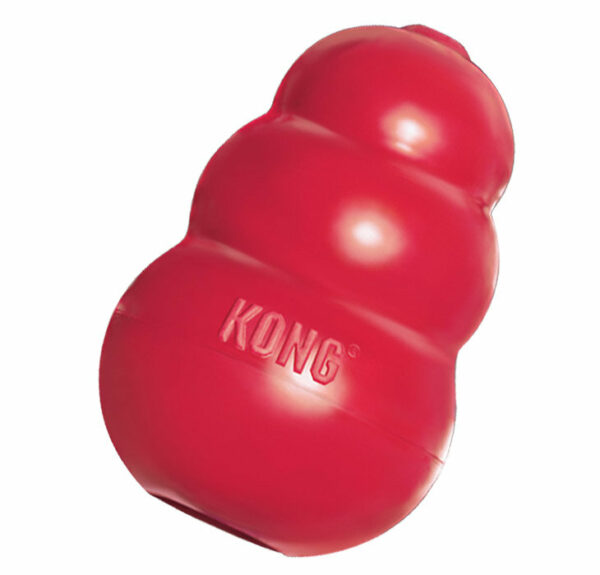 Jouet pour chien KONG X-SMALL 6 cm