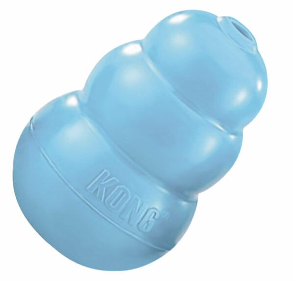 Jouet pour chiot KONG PUPPY LARGE 10 cm