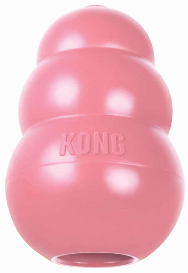 Jouet pour chiot KONG Puppy X-SMALL 6 cm
