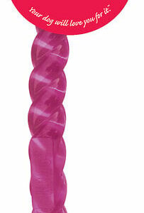Jouet pour chien KONG SAFESTIX SMALL 29 cm