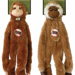 Jouet pour chien KONG Wubba Small 23 cm - Jouet interactif et résistant