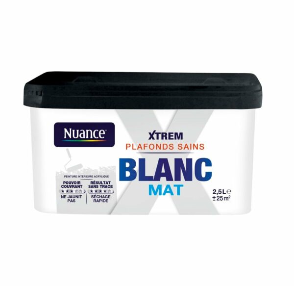 Peinture XTREM Plafonds sains - Blanc - Mat - 2,5L pour des plafonds éclatants