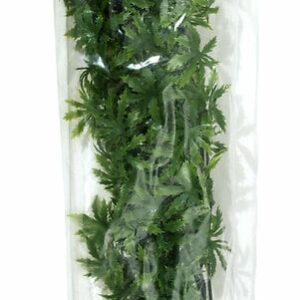Plante cannabis grand modèle du fabriquant BU36E