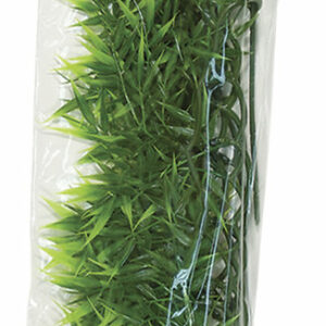 Plante madag bamboo grand modele bu39e pour terrarium