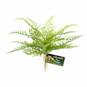 Plante artificielle décorative lace fern bu-62e