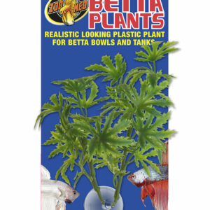 Plante Betta Plant - Papaya BP21 pour aquarium