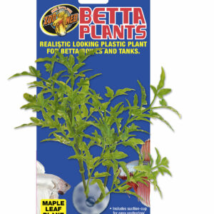 Betta Plant - Maple Leaf BP24