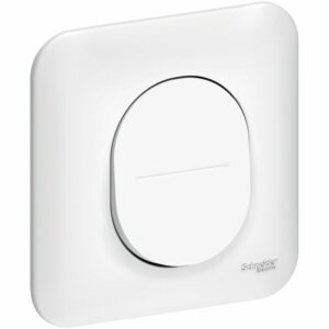 Bouton poussoir blanc Ovalis 10A – Poussoir encastré avec connexion automatique