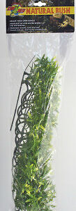 Plante boliv croton grand modele bu35e