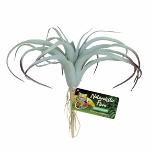 Decor tillandsia bu-64e - Plantes artificielles pour terrarium