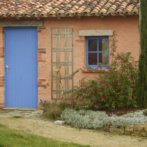 Treillis décoratif en pin naturel 180x180cm pour vos plantes grimpantes