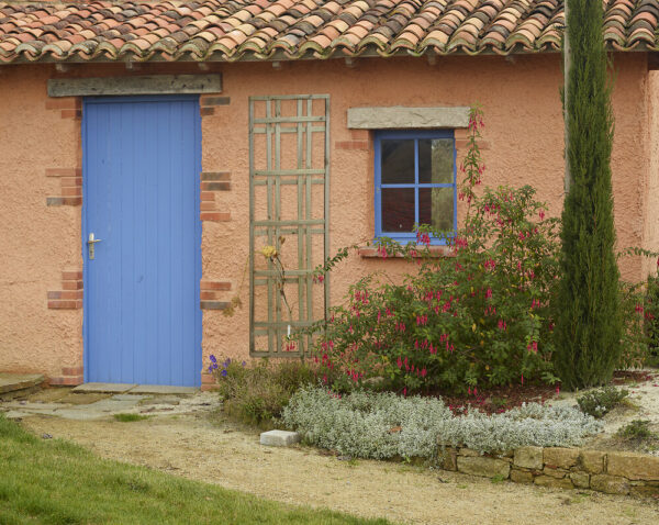 Treillis décoratif en pin naturel 180x180cm pour vos plantes grimpantes