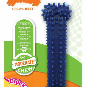 Jouet dentaire pour chien Nylabone dental chew s au goût poulet