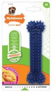 Jouet pour chien Nylabone Dental Chew au goût de poulet