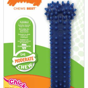 Jouet pour chien Nylabone Dental Chew au goût de poulet