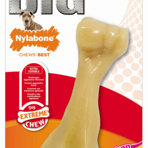 Nylabone big bone xxl poulet pour une mastication durable et saine