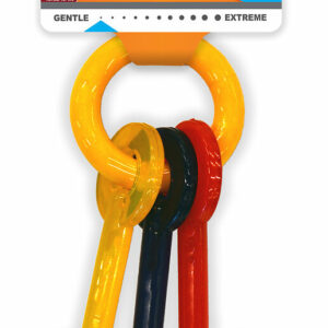 Jouet pour chiot NYLABONE PUPPY CLEFS S Bacon