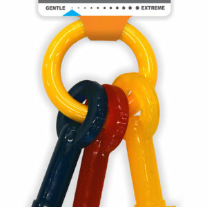 Jouet pour chiot résistant NYLABONE PUPPY CLEFS M Bacon