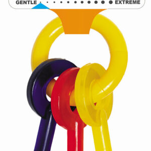 Jouet pour chien Nylabone Puppy Clefs Keys XS Bacon