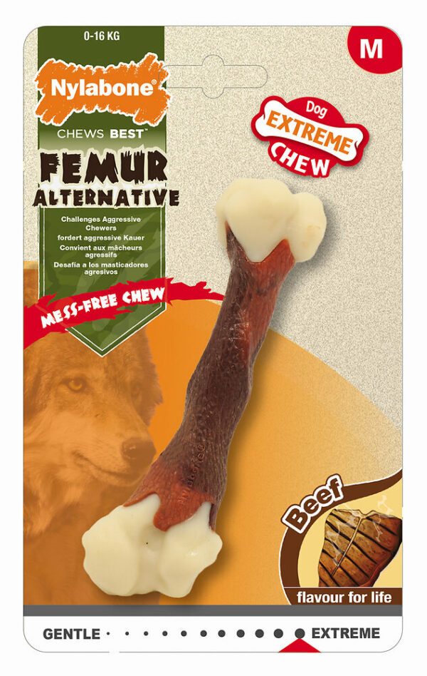Nylabone femur m beef - Os à mâcher pour chien au goût de boeuf