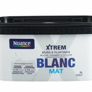 Peinture XTREM - Grand blanc - Mat - 5L