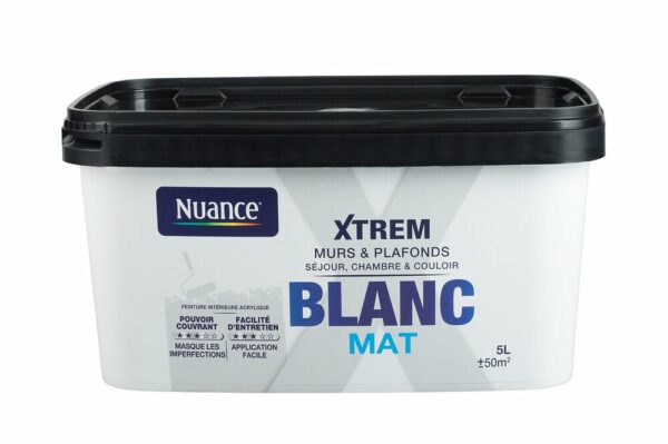 Peinture XTREM - Grand blanc - Mat - 5L