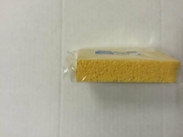Eponge végétale grand format – Naturelle, Absorbante et Durable pour Bricolage et Rénovation
