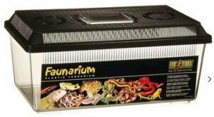 Exo Terra Faunarium GM