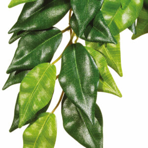 Exo terra feuillage ficus PM