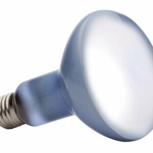 Exo Terra lampe daylight à vis 100W