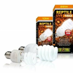 Exo Terra reptile UVB 150 flucomp 13W - Ampoule pour terrarium de climat désertique