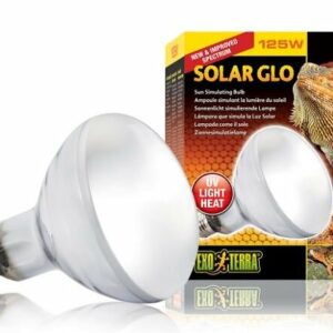 Ampoule Exo Terra lampe solar glo 125W pour reptiles