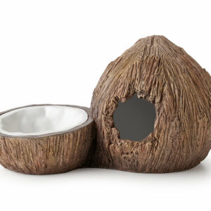 Cachette avec bol à eau en forme de noix de coco pour reptile