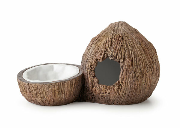 Cachette avec bol à eau en forme de noix de coco pour reptile