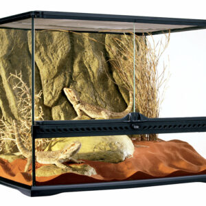 Terrarium Exo Terra 60X45X45CM pour reptiles et amphibiens