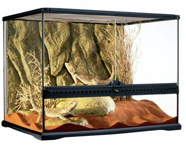 Terrarium Exo Terra 60X45X45CM pour reptiles et amphibiens