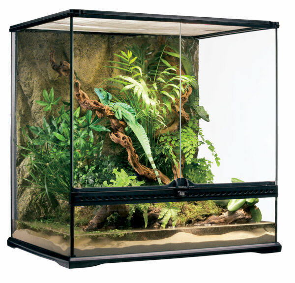 Terrarium Exo 60X45X60CM pour reptiles