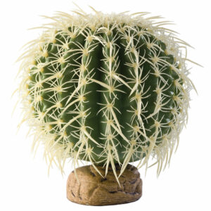 Exo Terra plante cactus oursin M pour reptiles et terrariums