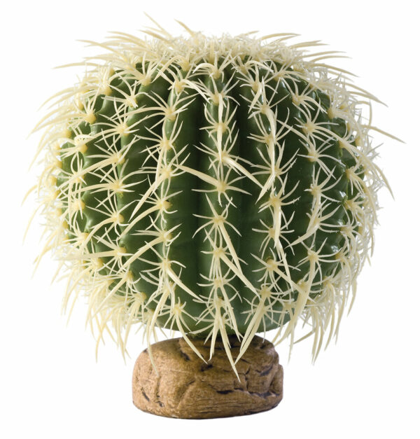 Exo Terra plante cactus oursin M pour reptiles et terrariums