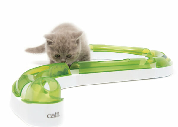 Circuit de Jeu Catit Senses pour Chat