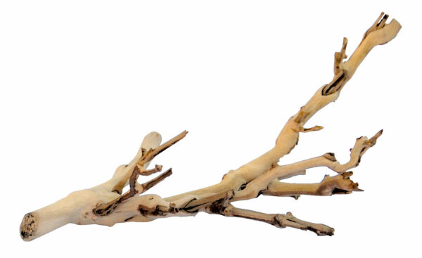 Exo Terra branche de vigne sable PM pour reptiles