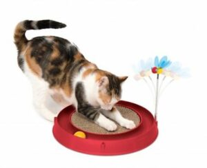 Circuit de jeu pour chat Catit