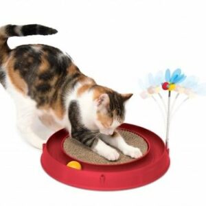 Circuit de jeu pour chat Catit